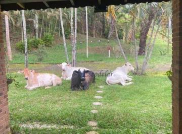 Imagem 1 · Fazenda