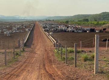 Imagem 1 · Fazenda
