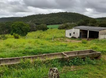 Imagem 1 · Fazenda