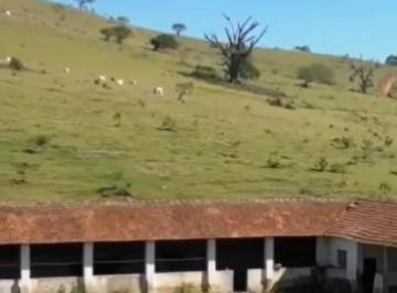 Imagem 1 · Fazenda