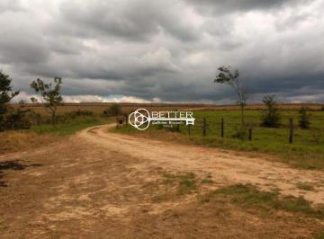 Imagem 1 · Fazenda