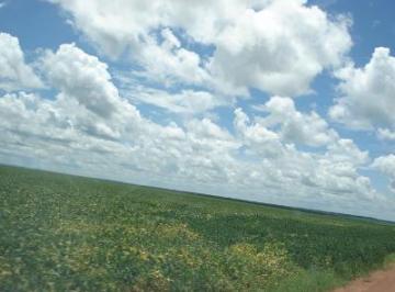 Imagem 1 · Fazenda