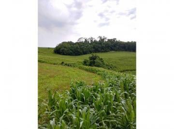 Imagem 1 · Fazenda