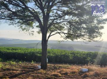 Imagem 1 · Fazenda
