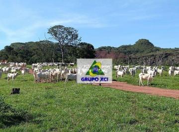 Imagem 1 · Fazenda