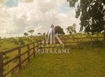 Imagem 1 · Fazenda