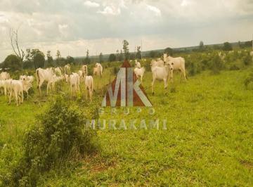 Imagem 1 · Fazenda