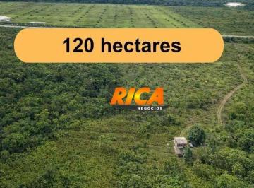 Imagem 1 · Fazenda