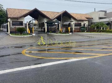 55bd170e-7f7c-433b-8b07-9c3ac0514347.jpg · Terreno à venda, Jardim Campo Alegre, Pindamonhangaba, SP