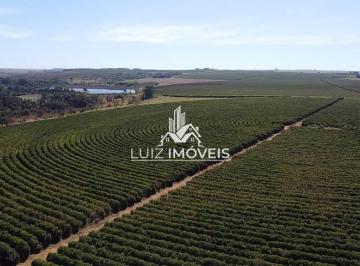 i1.jpg · Vendo Fazenda Café 1.000Hectares Unai MG