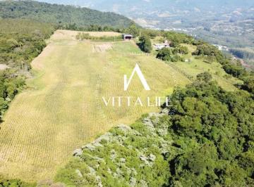 Terreno · 40000m² · Terreno à venda em Morro Reuter/RS
