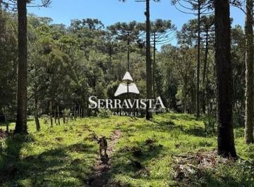 25019558_4.jpg · Terreno para chácara com riacho - 20.000 m2
