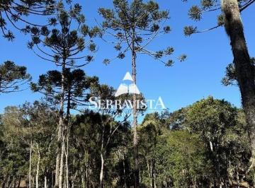 Rural · 20000m² · Terreno para chácara com riacho - 20.000 m2