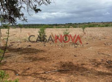 Fazenda com 260 tarefas em Jeremoabo para arrendamento para plantação de milho · Fazenda com 260 tarefas em Jeremoabo para arrendamento para plantação de milho