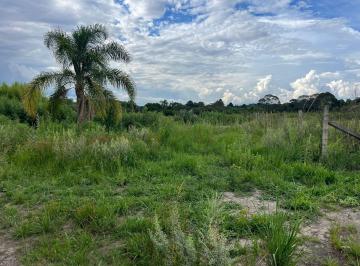 Terreno · 20000m² · Terreno em Centro, São José dos Pinhais/PR de 20000m² à venda por R$ 565.000,00