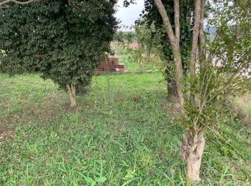 Rural · 1250m² · 4 Quartos · Chácara em Centro, São José dos Pinhais/PR de 1250m² 4 quartos à venda por R$ 670.000,00