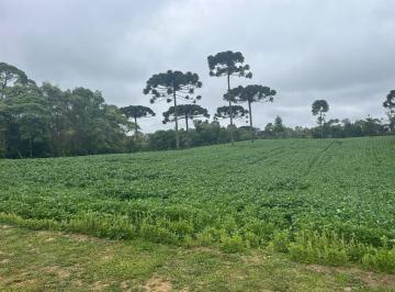 Rural · 24200m² · 3 Quartos · Chácara em Campo Largo da Roseira, São José dos Pinhais/PR de 24200m² 3 quartos à venda por R$ 950.0
