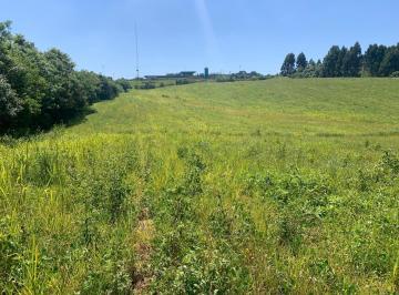 Terreno · 20400m² · Terreno em Veneza, Fazenda Rio Grande/PR de 20400m² à venda por R$ 4.000.000,00