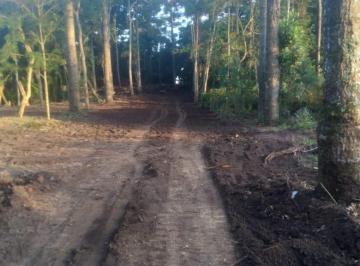 Terreno · 600m² · Terreno em Guatupê, São José dos Pinhais/PR de 600m² à venda por R$ 300.000,00