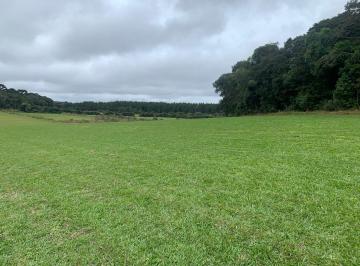 Terreno · 44000m² · Terreno em Campo Largo Da Roseira, Campo Largo Da Roseira (São José Dos Pinhais)/PR de 44000m² à ven