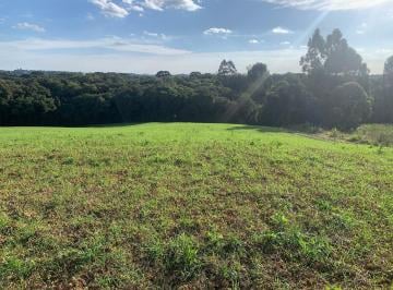 Terreno · 10m² · Terreno em Campo Largo da Roseira, São José dos Pinhais/PR de 10m² à venda por R$ 1.300.000,00