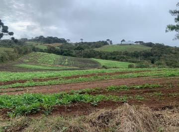 Terreno · 50000m² · Terreno em Roça Velha, São José dos Pinhais/PR de 50000m² à venda por R$ 1.750.000,00