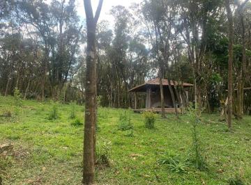 Rural · 8000m² · 1 Quarto · Chácara em Borda do Campo, São José dos Pinhais/PR de 8000m² 1 quartos à venda por R$ 250.000,00