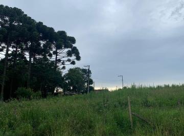 Rural · 2400m² · 1 Quarto · 10 Vagas · Chácara em Centro, São José dos Pinhais/PR de 2400m² 1 quartos à venda por R$ 240.000,00