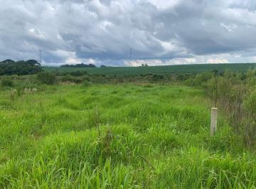 Terreno · 2900m² · Terreno em Campo Largo Da Roseira, Campo Largo Da Roseira (São José Dos Pinhais)/PR de 2900m² à vend