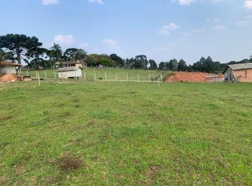 Terreno · 2000m² · Terreno em Campo Largo da Roseira, São José dos Pinhais/PR de 2000m² à venda por R$ 220.000,00