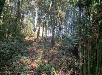 Terreno · 16000m² · Terreno em Faxina, São José dos Pinhais/PR de 16000m² à venda por R$ 230.000,00