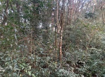 Terreno · 4800m² · Terreno em Centro, São José dos Pinhais/PR de 4800m² à venda por R$ 220.000,00