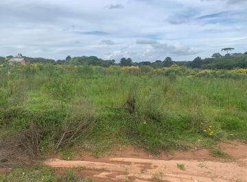 Terreno · 10m² · Terreno em Campina Do Taquaral, Campo Largo Da Roseira (São José Dos Pinhais)/PR de 10m² à venda por