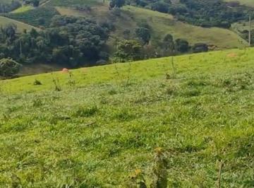 88270d4ec5e861fb17e6bae13a927cf0.jpg · Fazenda / Sítios / Chácaras à venda em Conceição Do Rio Verde, no bairro Zona Rural