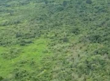 Rural de 7 quartos, Amarante do Maranhão · Vende-se 53 mil hectares de terras valor por hectare 600,00 reias