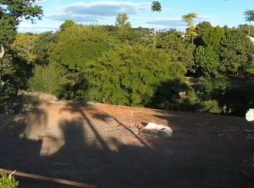 Terreno , Águas Claras · Raridade - Vereda da cruz - Lote - 862m² - Escriturado