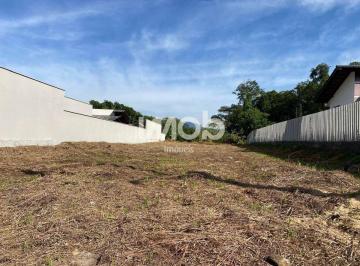 Terreno · 675m² · TERRENO COM 675,95 m², TIFA MARTINS