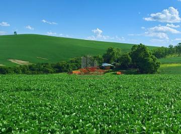 Rural · 12380000m² · Fazenda em Pimenta MG: 1.238 ha na Represa de Furnas à Venda