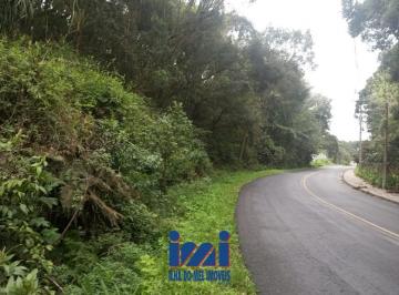 25050358_4.jpg · Lote de 17 mil mt2  em Campo Largo - Investimento