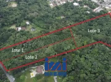 25047002_4.jpg · Lote de 66 mil mt2  em Campo Largo - Investimento
