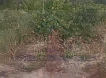 Terreno · 360m² · Terreno à venda no bairro Centro - Pontal do Paraná/PR