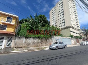 e8b431d75da93fc0f9cd8b256c074fdd.jpg · Terreno