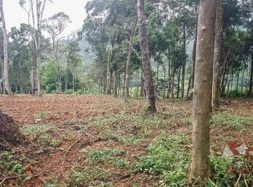 Rural , São José dos Pinhais · Chácara a Venda sem benfeitorias