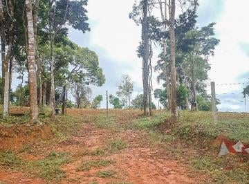 Rural , São José dos Pinhais · Chácara à Venda sem benfeitorias em São José dos Pinhais