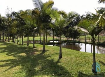 Foto 07 · SÍTIO com internet, 6 lagoas p/peixes, posso Artesiano, piscina, Salão de Festas em CAMBORIÚ - SC