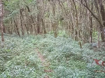 Rural , São José dos Pinhais · Chácara a Venda sem benfeitorias