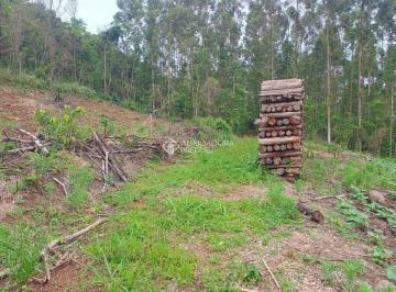 Terreno · 60124m² · Área de terras em região rurbana na cidade de Dois Irmãos RS