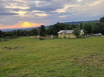 Rural de 3 quartos, Rolante · Chácara/Sítio Completa em Rolante/Rs Localidade de Morro grande 4km do centro!