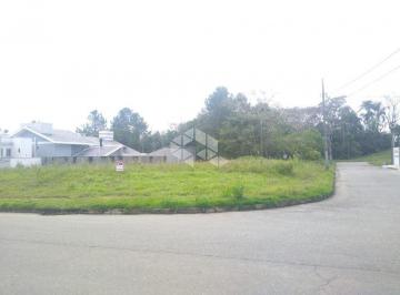 | Foto_migracao | 0 · Terreno à venda, 422 m² - Velha - Blumenau/SC