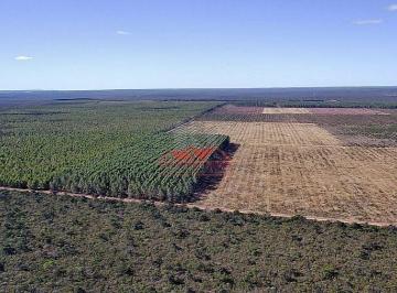 Exemplo de área vizinha em Bonito de Minas com plantio consolidado, demonstrando o alto potencial produtivo do solo da região. · Fazenda 4.004 ha em Bonito de Minas | Ideal para Grãos